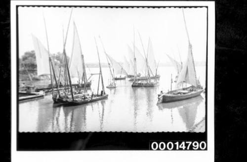 Several sailing vessels on the Nile River in Cairo, Egypt