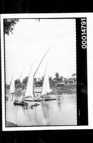Small sailing vessels on the Nile River in Cairo, Egypt