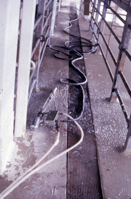 Slide depicting a hose laying in the walkway