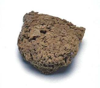 Sponge used by tailor Costas Melidis