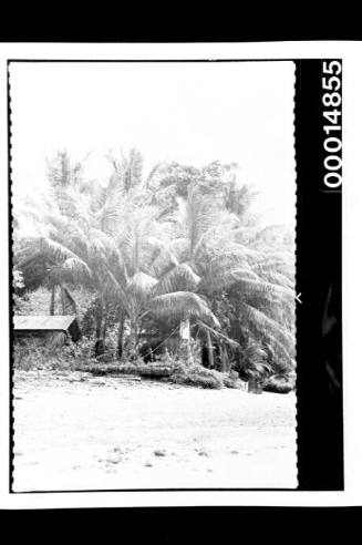 A shack on the beach, Cocos Islands