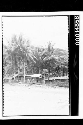 Sheds among tall palm trees on a beach, Cocos Islands