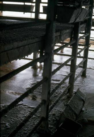 Slide capturing the pen inside of an animal cargo vessel