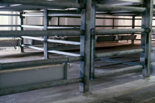 Slide depicting the empty animal pens of a vessel