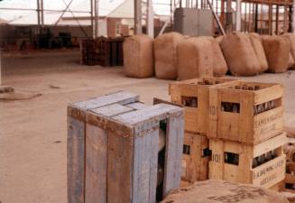 Slide depicting wooden crates with bottles stamped S A Brewing Co Ltd Adelaide