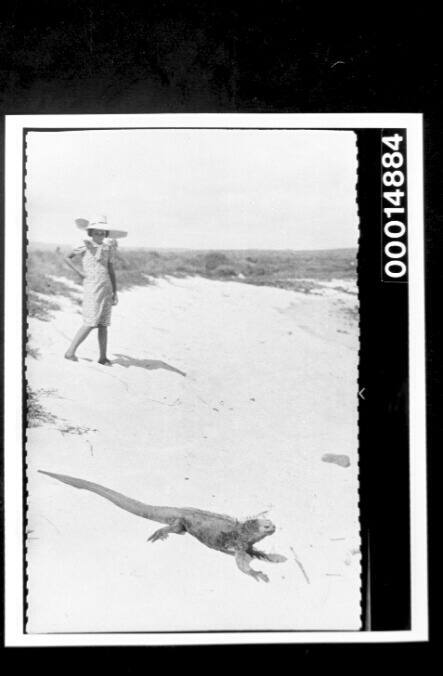 A young girl watches an iguana on a Galapagos Island beach