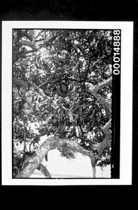 A young girl smiles at the camera from high up in a tree, Galapagos Islands