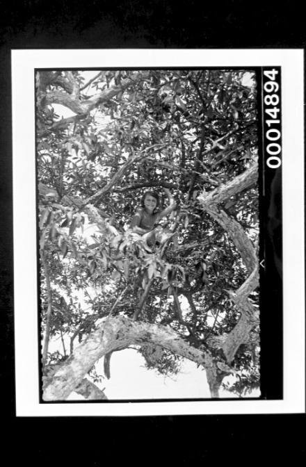 A young girl smiles at the camera from high up in a tree, Galapagos Islands