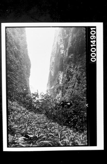 Inside a large rocky crevasse, Nuku Hiva Island