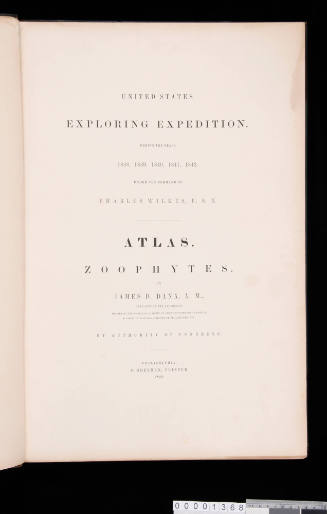 United States Exploring Expedition : during the years 1838, 1839, 1840, 1841, 1842, under the command of  Charles Wilkes USN.  Atlas.  Zoophytes.