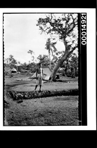 A boy stands along a palm tree that has most likely fallen during a storm, Tonga