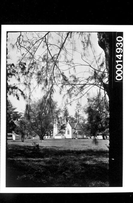 Pine trees surrounding a small white church, Nuku'alofa, Tonga