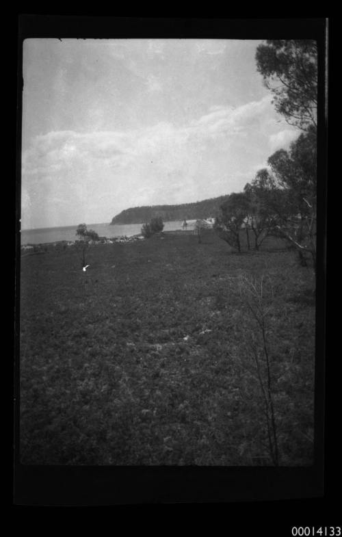 Harbour and houses of Boydtown, New South Wales