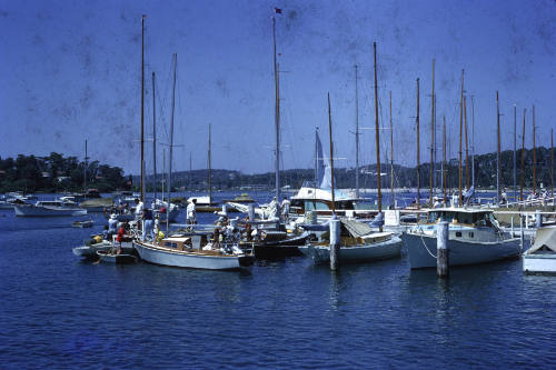 Alfreds Marina Pittwater