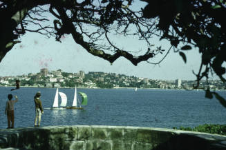 Sailboat race between FLAMINGO and TEAL