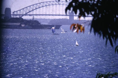 Yachts sailing on Sydney Harbour and Pittwater