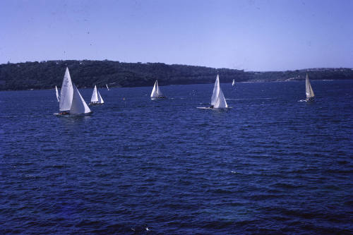 THYPHOON and ERICA under sail