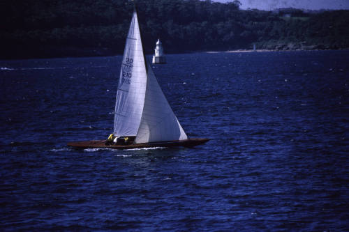 FAGELGRIP under sail