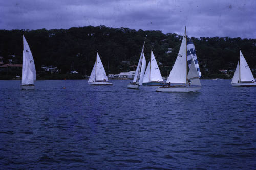 NSW Thunderbird Championships Pittwater January 1966