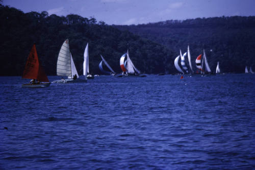 Sailboat race