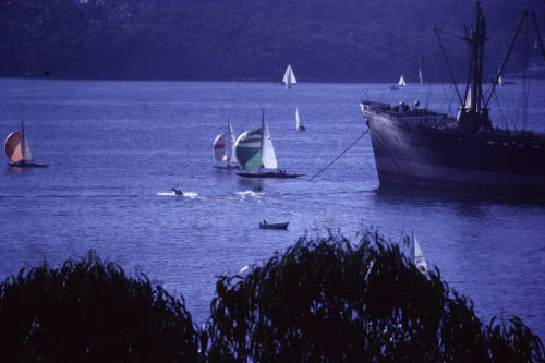 Yachts sailing on Sydney Harbour and Pittwater