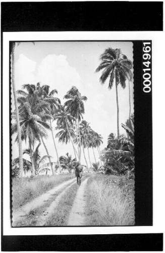 A young man standing on a track, Bora Bora