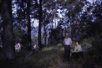 Image taken at 59 Pindari Place Bayview NSW on Queens Birthday June 1960 looking north east