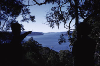 Image taken at 59 Pindari Place Bayview NSW on Queens Birthday June 1960 looking north east