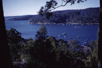 Image taken at 59 Pindari Place Bayview NSW on Queens Birthday June 1960 looking north east