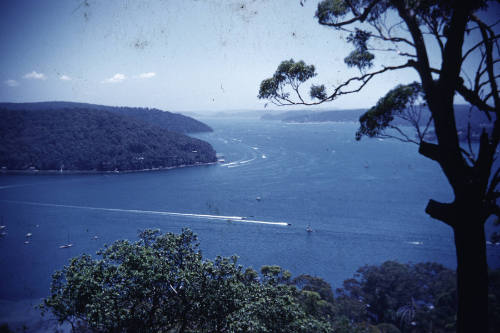 100m race Pittwater