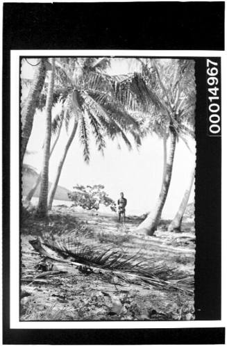 A man standing among palm trees at the waters edge