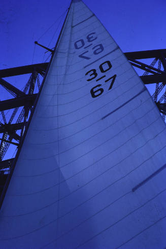 TEAL under Sydney Harbour Bridge