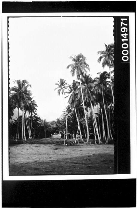 A small Tahitian hut and carved figure surrounded by palm trees