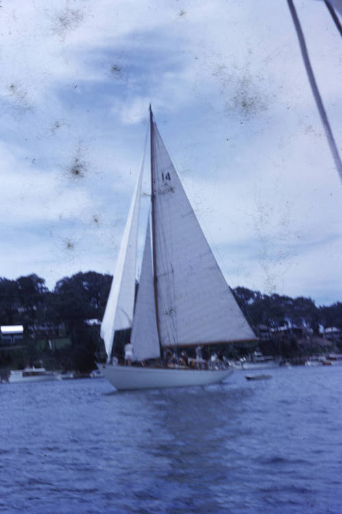 PATSY after the start on Hallets Beach Race