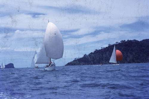 PATSY after the start on Hallets Beach Race