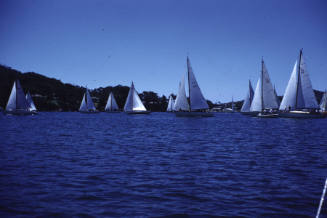 Image of the start of the Pittwater to Sydney race December 1961