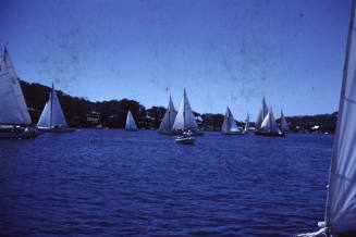 Image of vessels sailing in Pittwater to Sydney race December 1961
