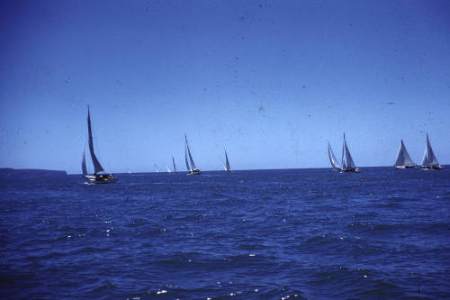 Image of group of vessels heading to Sydney during Pittwater to Sydney race December 1961