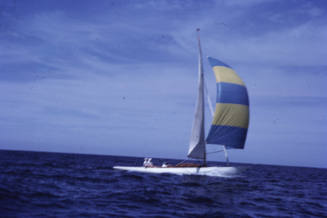 Image of CLASSIC sailing with spinnaker up