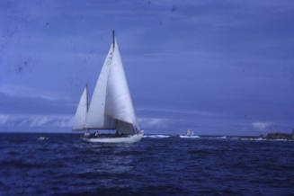 SOLO Montague Island race