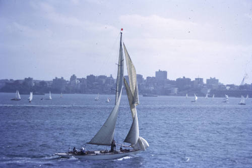 Image of yacht sailing on Sydney Harbour