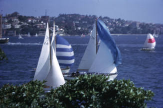 Image of 4 yachts sailing on Sydney Harbour