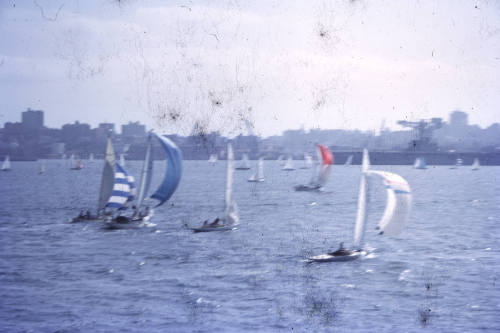 Image of yachts sailing on Sydney Harbour