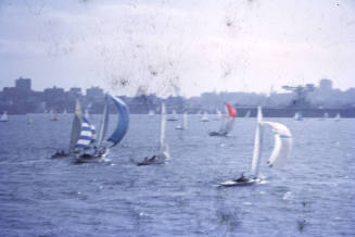 Image of yachts sailing on Sydney Harbour