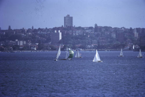 Image of yachts sailing on Sydney Harbour
