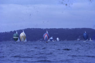 Image of yachts sailing with their spinnakers set