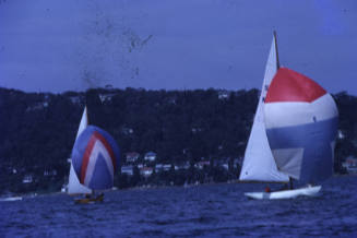 HUNEY and BURRADOO with spinnakers set