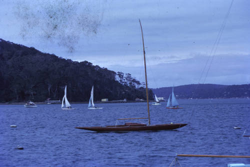 TEAL under sail