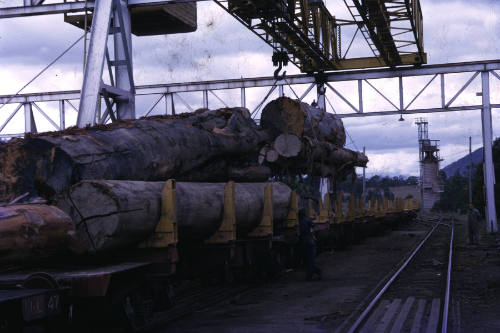 A.P.P.M. logging train ECA Conference Hobart