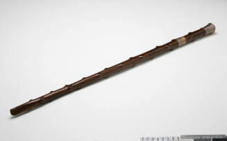 Cane or walking stick owned by Captain Neitenstein from VERNON